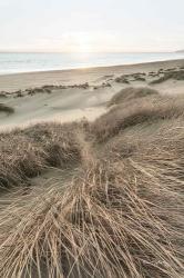 Beach Grasses | Obraz na stenu