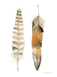 Natural Feathers II | Obraz na stenu