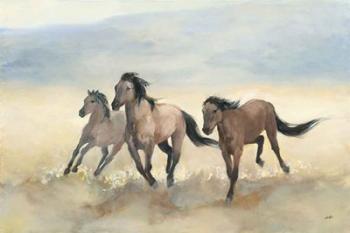 Wild Mustangs | Obraz na stenu