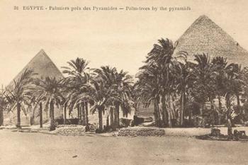 Egypt Postcard II | Obraz na stenu