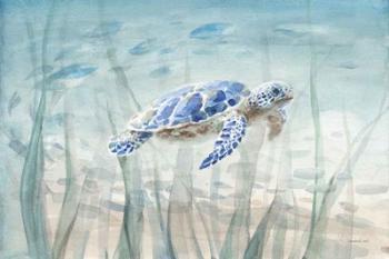 Undersea Turtle | Obraz na stenu