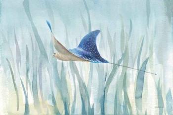 Undersea Ray | Obraz na stenu