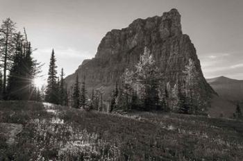 Boulder Pass Glacier National Park BW | Obraz na stenu