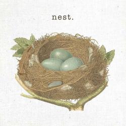 Spring Nest III Nest | Obraz na stenu