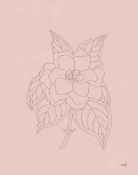 Gardenia Line Drawing Pink | Obraz na stenu