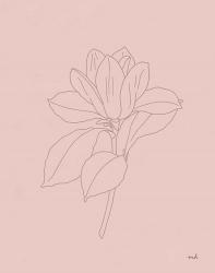 Magnolia Line Drawing Pink | Obraz na stenu