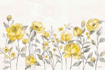 Sunny Roses I No Words | Obraz na stenu