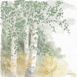 Natures Leaves II Sage | Obraz na stenu