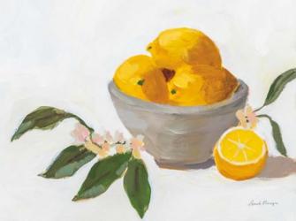 Lemons in Grey Bowl | Obraz na stenu