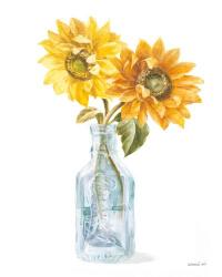 Fresh Cut Sunflowers I | Obraz na stenu