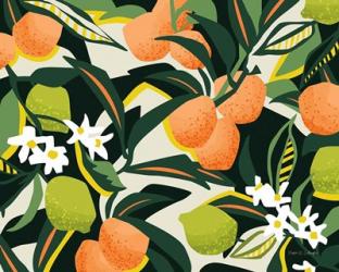 Sweet Orange Lime | Obraz na stenu