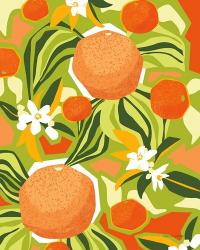 Tangerine Grapefruit | Obraz na stenu