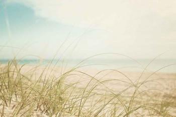 Beach Grass V Light | Obraz na stenu