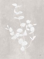 Botanical Study II Neutral Crop | Obraz na stenu