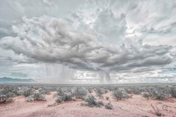 New Mexico Rain | Obraz na stenu