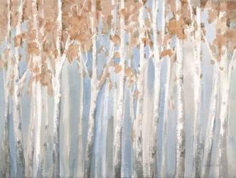 Fall Birches | Obraz na stenu