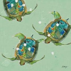 Sea Turtles | Obraz na stenu