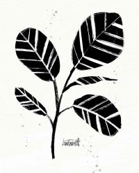 Botanical Sketches IV | Obraz na stenu