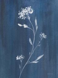 Simple Nature IV | Obraz na stenu