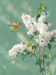Hummingbird Spring I | Obraz na stenu