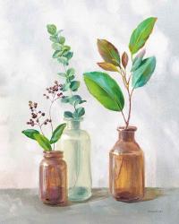 Natural Riches III Clear Vase | Obraz na stenu