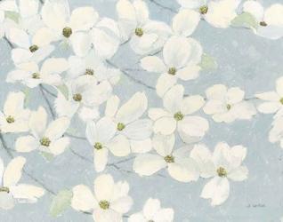 Spring Dogwoods Blue | Obraz na stenu