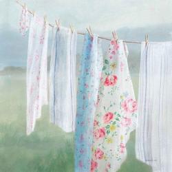Laundry Day I | Obraz na stenu