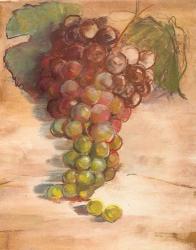 Grape Harvest II No Label | Obraz na stenu