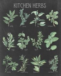 Kitchen Herb Chart on Black I | Obraz na stenu