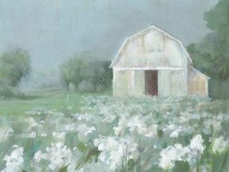 White Barn Meadow | Obraz na stenu