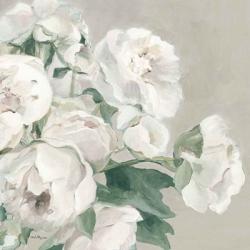 Peonies on Gray Flipped Crop | Obraz na stenu