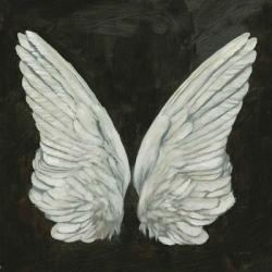 Wings I | Obraz na stenu