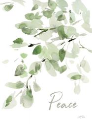 Cascading Branches I Peace | Obraz na stenu