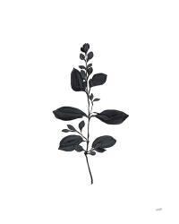 Botanical Study Branch | Obraz na stenu