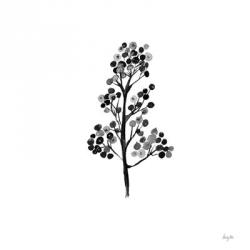 Botticelli Plant IV Black | Obraz na stenu