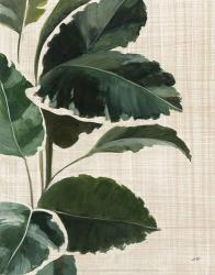 Tropical Study I Linen | Obraz na stenu