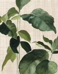 Tropical Study II Linen | Obraz na stenu