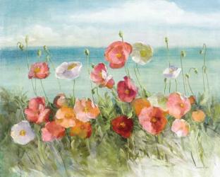 Coastal Poppies Light. | Obraz na stenu