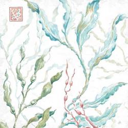 Delicate Sea X | Obraz na stenu