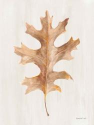 Fallen Leaf I Texture | Obraz na stenu
