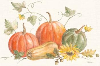 Happy Harvest Pumpkins | Obraz na stenu