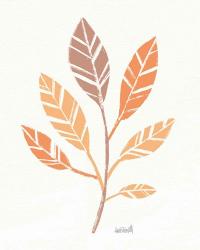 Botanical Sketches III Spice | Obraz na stenu