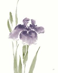 Japanese Iris III Purple Crop | Obraz na stenu