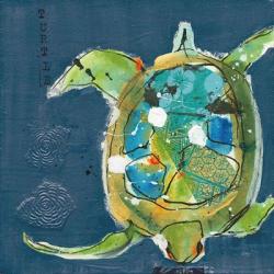 Chentes Turtle on Blue | Obraz na stenu
