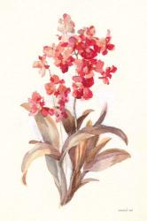 Autumn Orchid I | Obraz na stenu