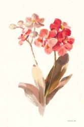 Autumn Orchid II | Obraz na stenu