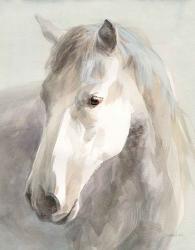 Gentle Horse Crop | Obraz na stenu