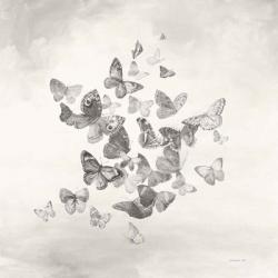 Beautiful Butterflies BW | Obraz na stenu