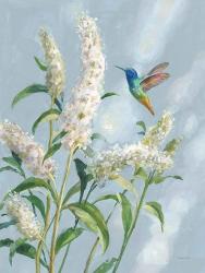 Hummingbird Spring II Soft Blue | Obraz na stenu