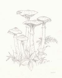 Nature Sketchbook I | Obraz na stenu